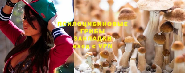 молекула духа Бронницы