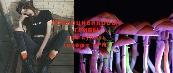 твердый Бородино