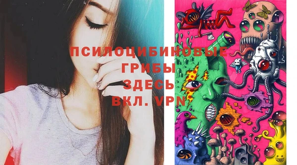 тгк Бугульма