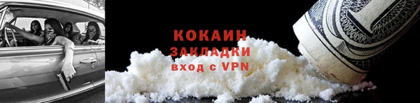 твердый Бородино