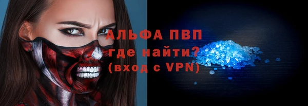 твердый Бородино
