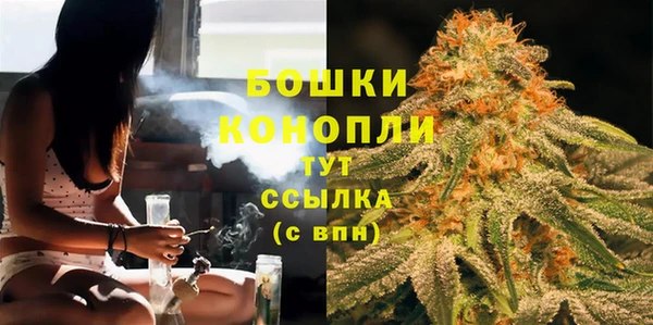 молекула духа Бронницы
