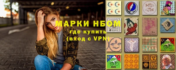 твердый Бородино