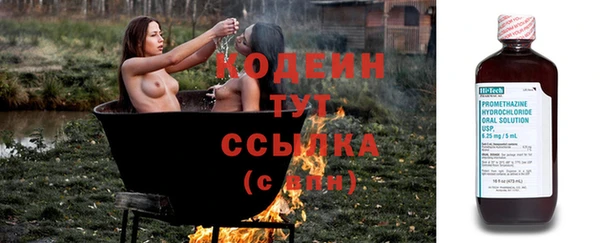 твердый Бородино