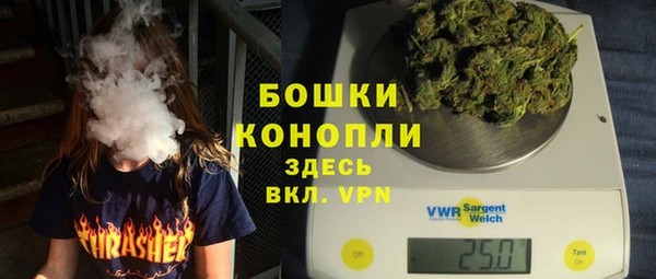 твердый Бородино